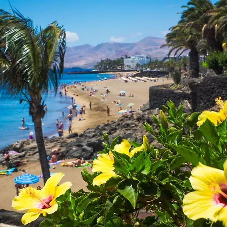 Apartment Luxury Ocean View Retreat 2bedroom With Jacuzzi