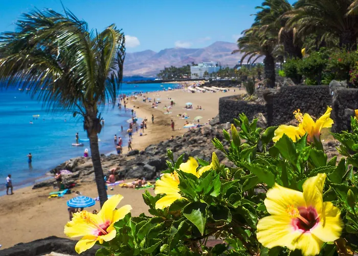 Appartement Luxury Ocean View Retreat 2bedroom With Jacuzzi